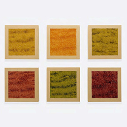 Exhibition image