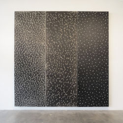 Exhibition image